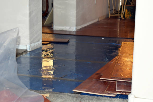 Professional Water Damage Restoration technician working in Alton, TX